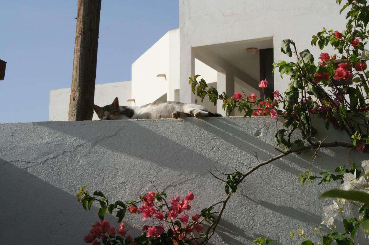 Auberge Keur Diame Dakar Luaran gambar